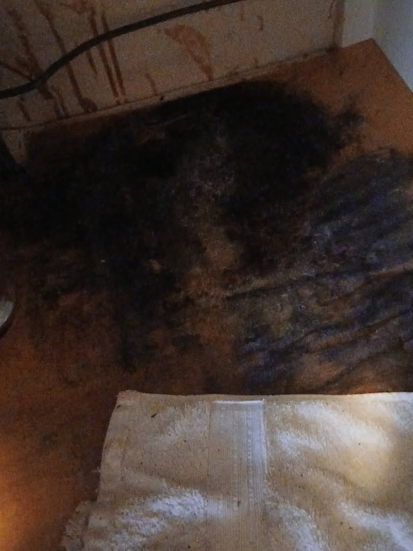 Cleaning & Water Damage