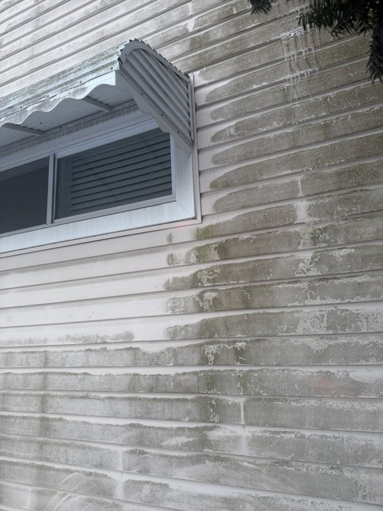 Pressure Washing & Exterior project photo 2