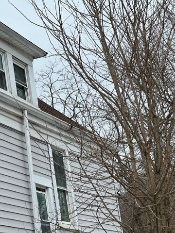 Pressure Washing & Exterior project photo 5